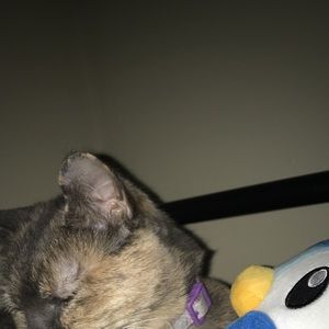 Meet your Posher, Steph